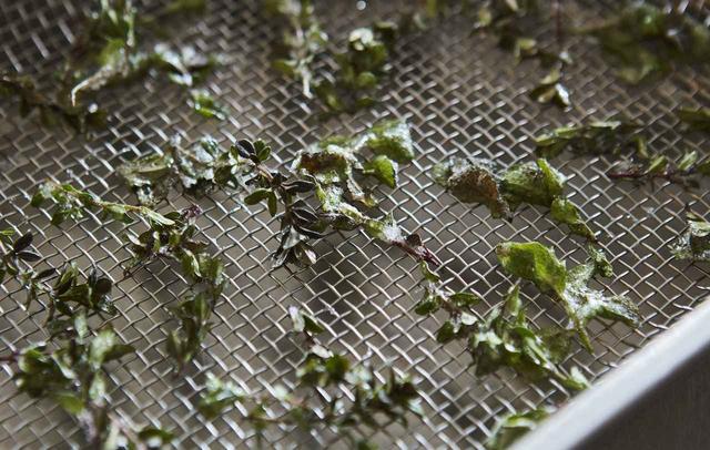 画像: ２ ハーブにグラニュー糖をまぶし、ざるにのせて1時間ほど置いておく。