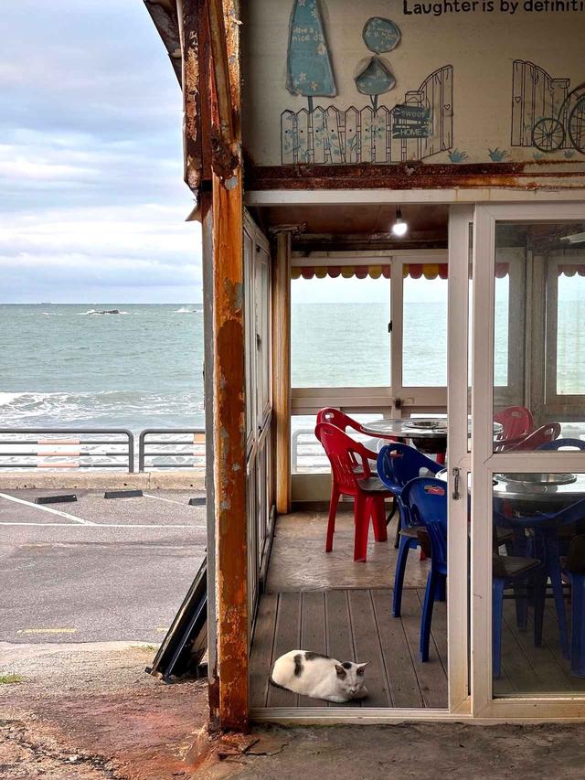 画像: のどかすぎる景色