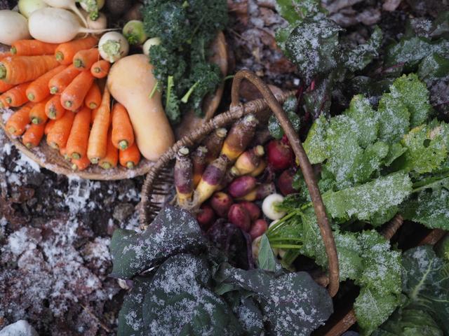 画像: 大地の健やかさが凝縮した野菜は、生命力に溢れるスープへと生まれ変わる