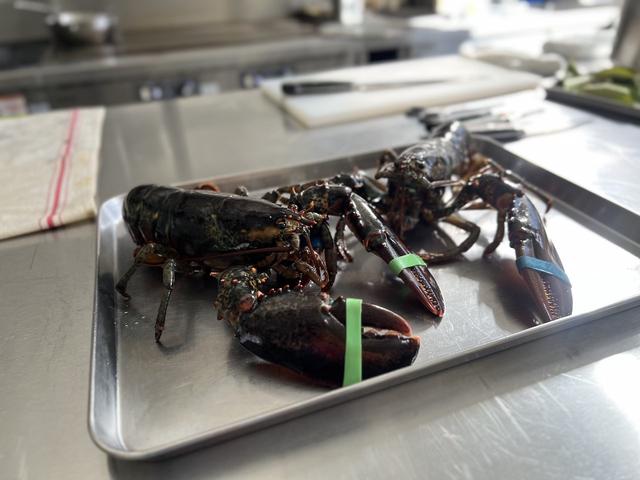 画像: コースはMenu Droit￥24,200（サ別）のほか、オマール海老一匹を使ったメイン料理が登場するMenu Évidemment￥33,000（サ別）を用意。Évidemment（エビダモン）はフランス語の「もちろん」を意味し、「もちろんえび一本食べるよね？」という意味合いを込めたコース名に