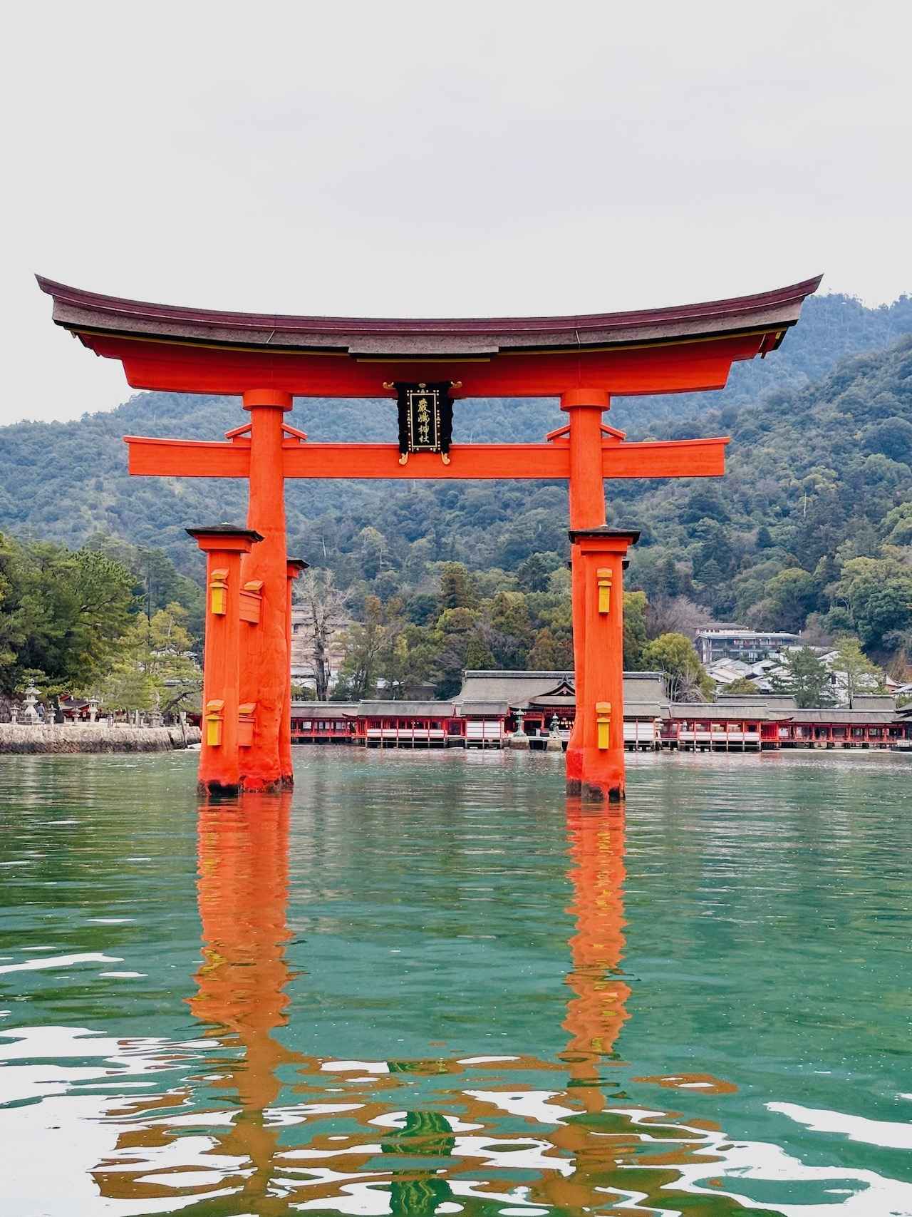 画像 : 12番目の画像 - 「広島県・宮島に誕生した
新しいホテルで美味を堪能！
桂まりの「偏愛！ 食いしん坊部」vol.50」のアルバム - T JAPAN:The New York Times Style Magazine 公式サイト