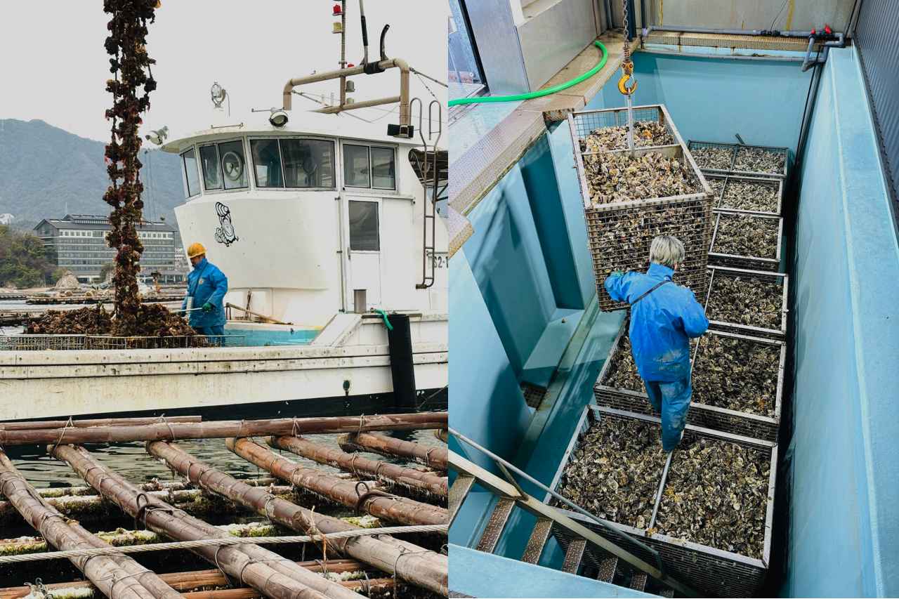 画像 : 13番目の画像 - 「広島県・宮島に誕生した
新しいホテルで美味を堪能！
桂まりの「偏愛！ 食いしん坊部」vol.50」のアルバム - T JAPAN:The New York Times Style Magazine 公式サイト