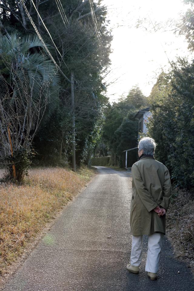 画像: 家の周囲には古い木が繁る森や竹林があり、散歩が楽しい。面白い形のものは拾って帰る。