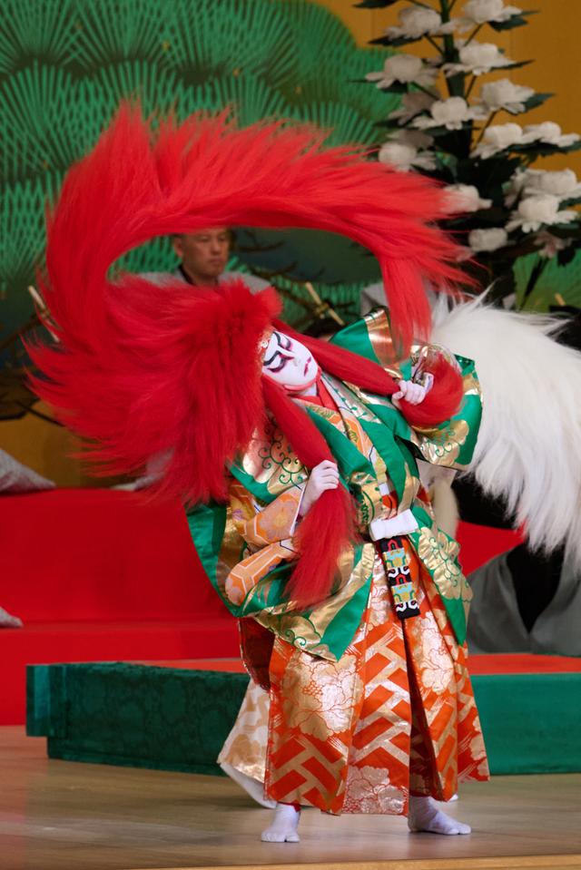 画像2: 『連獅子』仔獅子の精=尾上眞秀