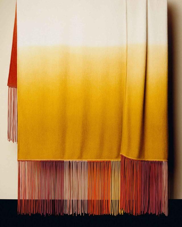 画像: カシミアのプレード 「アドベンチャー」 ©Charles_Negre