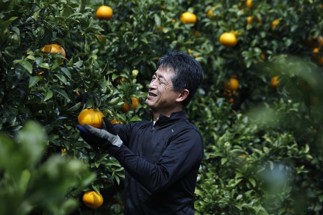 画像: この地で17代続く名家で、農園を営む田村雅彦さん