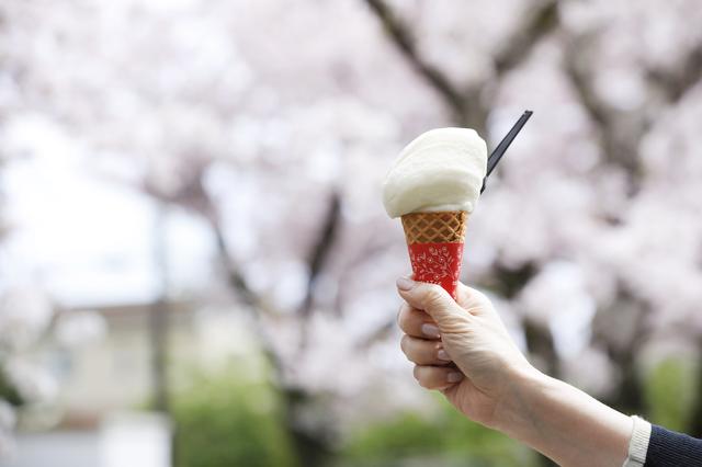 画像: 伊豆名産のニューサマーオレンジのジェラート