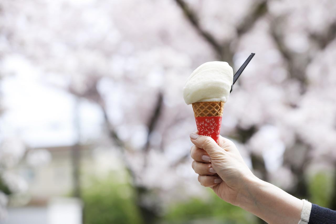画像 : 12番目の画像 - 「東伊豆で知る柑橘の
豊かな実りとジェラートの味。
日本のローカルトレジャーを探す旅」のアルバム - T JAPAN:The New York Times Style Magazine 公式サイト