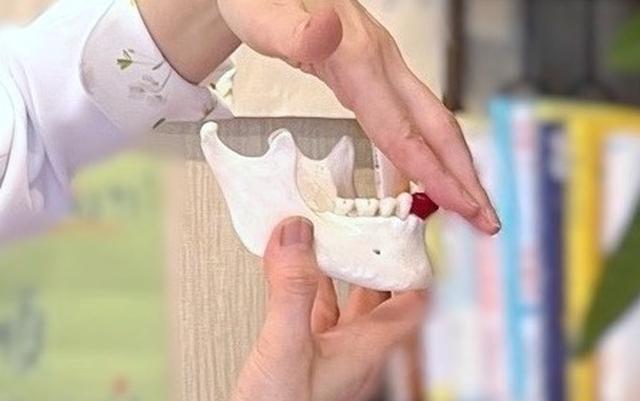 画像: スマホを見るような前屈みの姿勢を続けると、模型のように、下あごが内側(奥)にずれた状態に