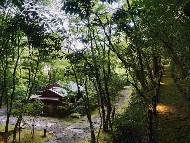 画像: 山間の小径から、心豊かな時間を手繰り寄せながら茶室「仙窟」を見下ろして PHOTOGRAPH BY YUKIYO DAIDO