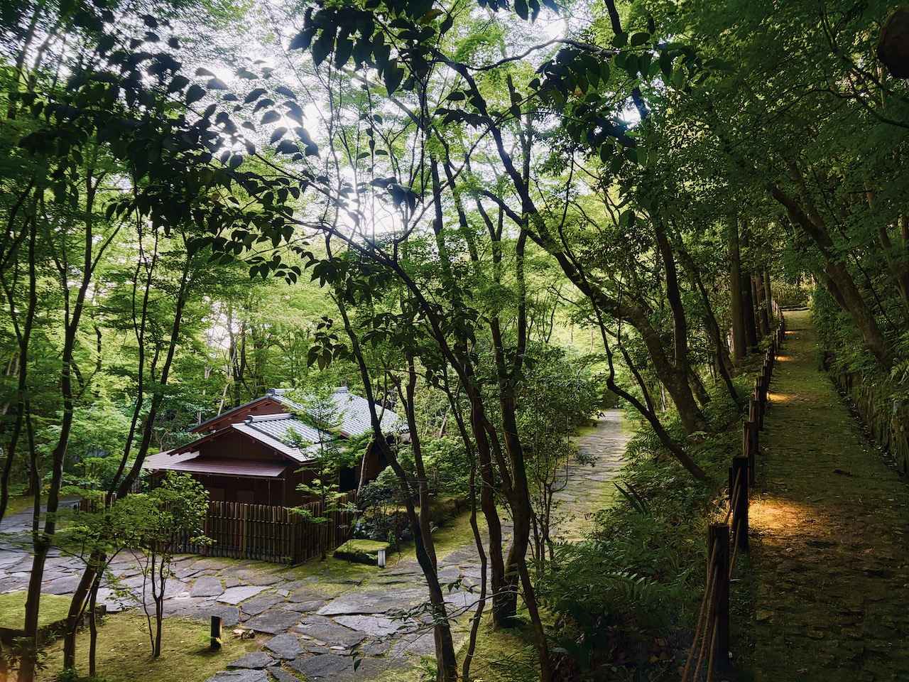 画像 : 18番目の画像 - 「アマン京都の奥の院の
茶室を訪ねる
日本のローカルトレジャーを探す旅」のアルバム - T JAPAN:The New York Times Style Magazine 公式サイト