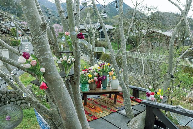 画像: 自宅前の大きなケヤキの木に、地元の大工さんがつくってくれたツリーハウス。枝にブーケラックが取りつけられている。イベント時はここで販売することも。