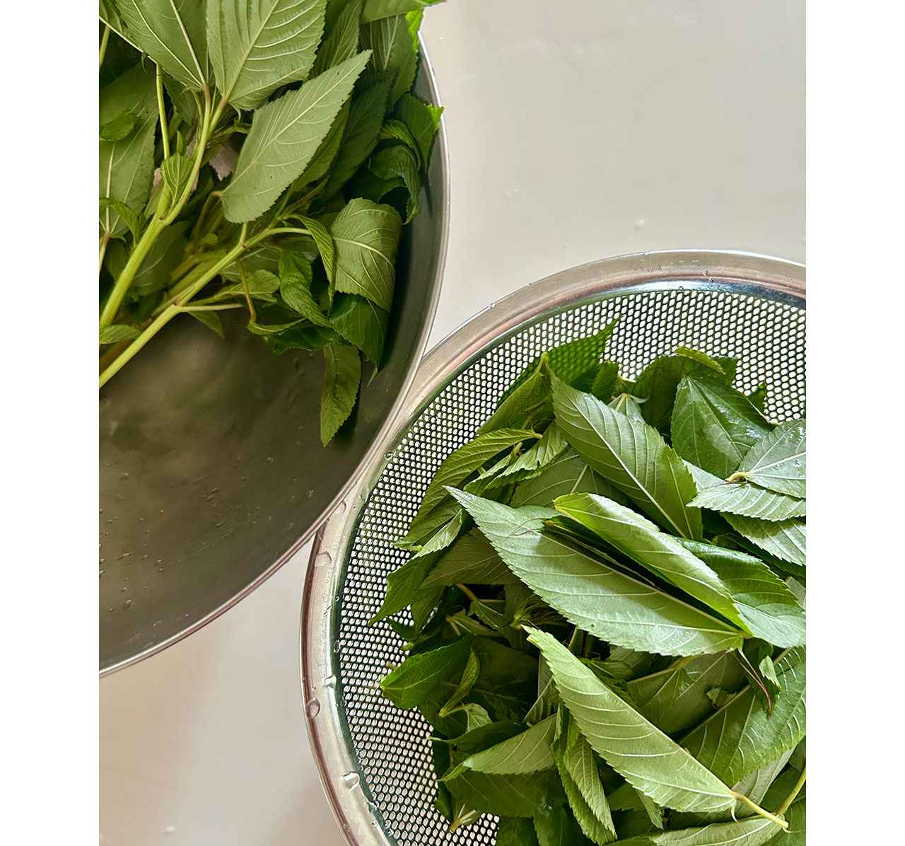 画像 : 3番目の画像 - 「平野由希子の「野菜とお酒」
―幸福な大人の食卓―
Vol.54 モロヘイヤのレシピ」のアルバム - T JAPAN:The New York Times Style Magazine 公式サイト