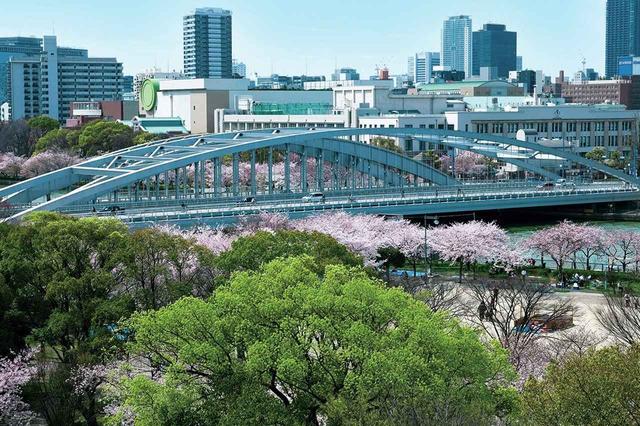 画像: 桜の会・平成の通り抜け/新桜宮橋(大阪市北区 2004年~)中之島を中心とする淀川沿いに3000本の桜を植樹する活動。もともとあった4000本と合わせ、壮大な都市景観を創出した。造幣局に近い桜宮橋に並行する「新桜宮橋」(2006年12月開通)も安藤のデザイン。 ©SHIGEO OGAWA