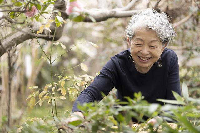 画像: 季節ごとに彩りを見せる庭の植物はエコプリントの材料にもなれば、食卓や料理を彩るスパイスにも
