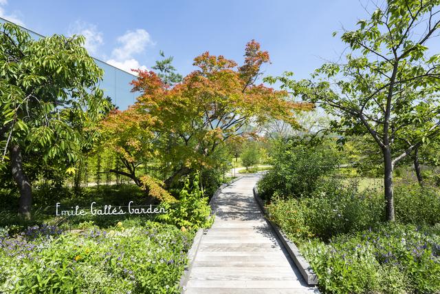 画像: エミール・ガレの庭。植物学者でもあったガレの作品に描かれた植物を中心に、瀬戸内の温暖な気候に合う草花が四季折々に庭を彩る
