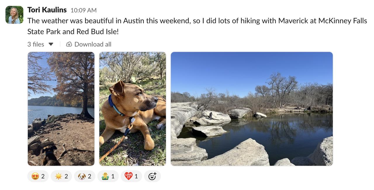 画像: 例）ライター自身がチームに共有したもの