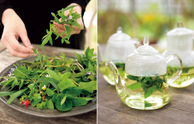 画像: 束ねてブーケ状にしたフレッシュハーブにお湯を注いで、お茶を楽しむティーブーケ。レモンバーベナやレモングラス、パイナップルセージなどをブレンドすると、飲みやすい味に。「朝はコーヒーだけど、午後にひと息つきたいときには、これ。すぐに飲まない場合は、ドライにしても楽しめます」