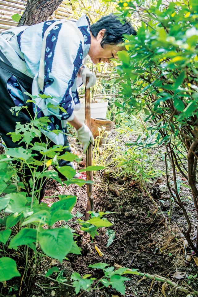 画像: 「生ごみは宝物」。庭の木の下に埋めてコンポストに