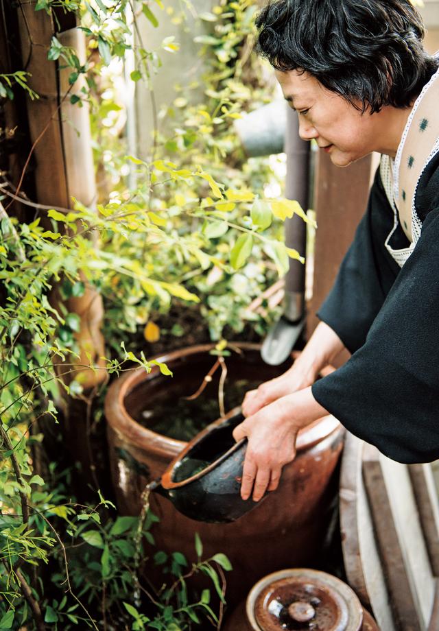 画像: 玄関の軒先で、雨水をためたかめから鉢植えに水をやる横山さん。家全体が緑に包まれている