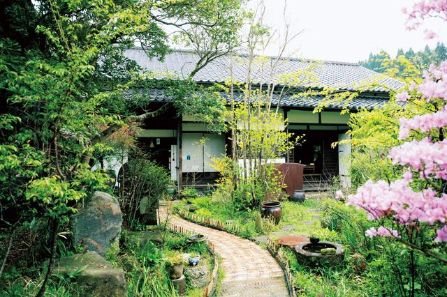 画像: 野の花が迎えてくれる「他郷阿部家」