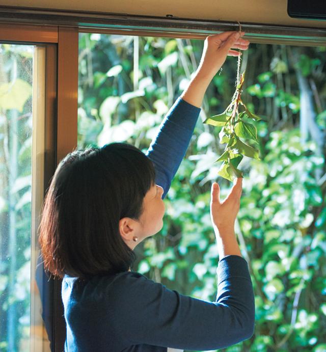 画像: 野草は、ひもでまとめ、カーテンレールに吊るしても。「感覚的には洗濯物と一緒。よく晴れた日に干し、日が陰ってきたら取り込みます」