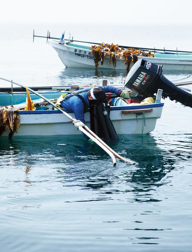画像: 箱メガネで海底をのぞき込み、2年ものの昆布を見分け、竿を巧みに操って昆布を採っていく