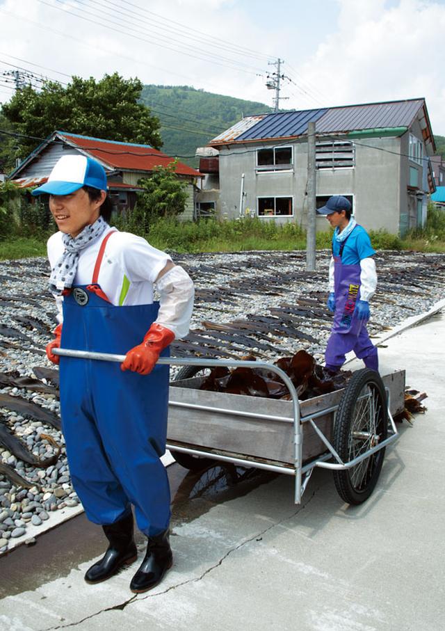 画像: 洗った昆布は近くの浜に運び、玉砂利の上に広げ、天日干しにする
