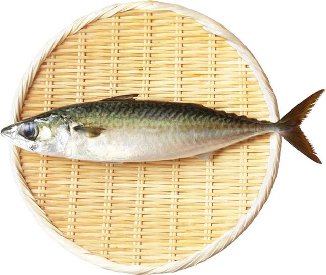 画像: さば 旬 9〜12月