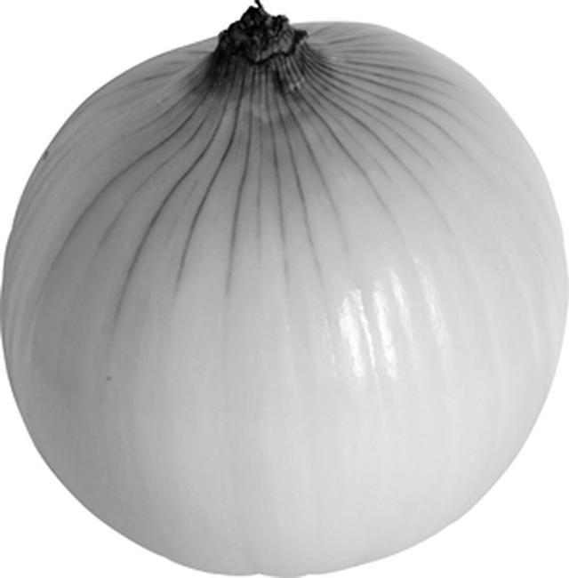 画像: 通年、出まわっている。丸くふっくらとして重量感があり、茶色い皮がよく乾燥してつやがあるもの、首の部分は細く締まりがあり、芽の出ていないものが良品。