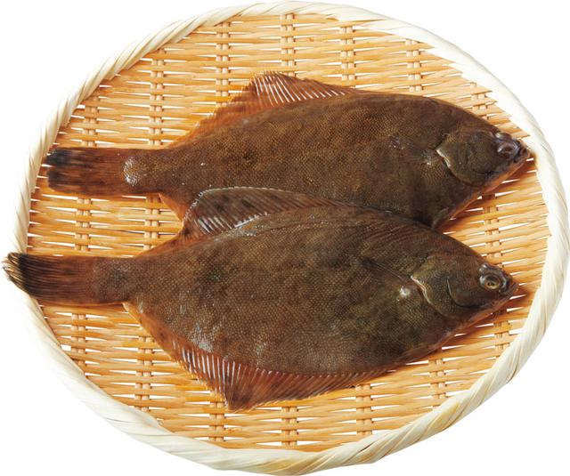新鮮な魚 カレイの種類 最高の花の画像