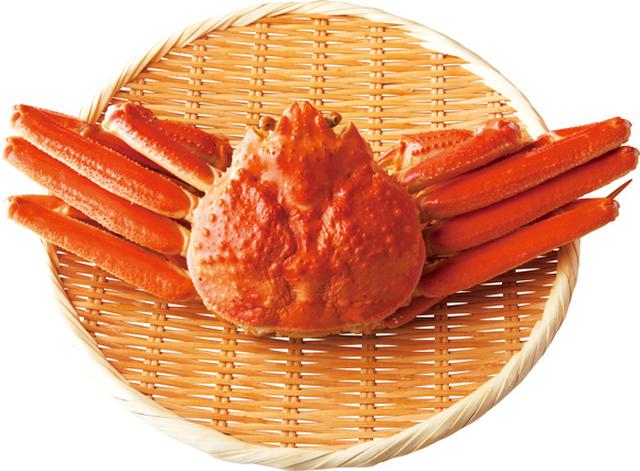 画像: かに 旬 11〜12月