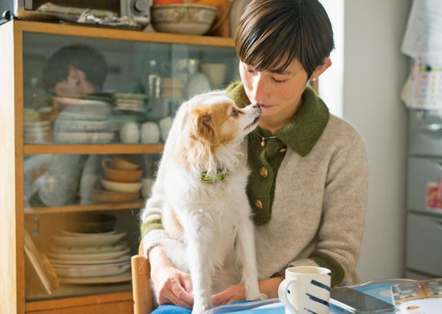 画像: 保護犬と楽しむ暮らし