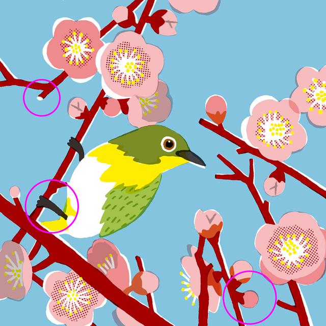 画像: 答え