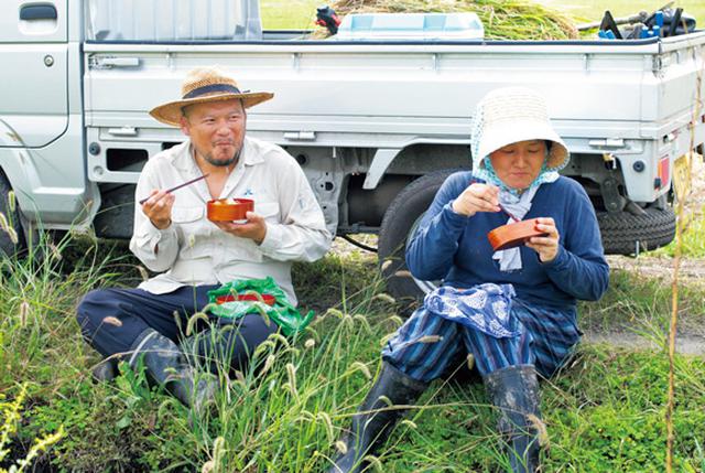 画像1: 12:00 田んぼで食べるお弁当は最高! 至福の時