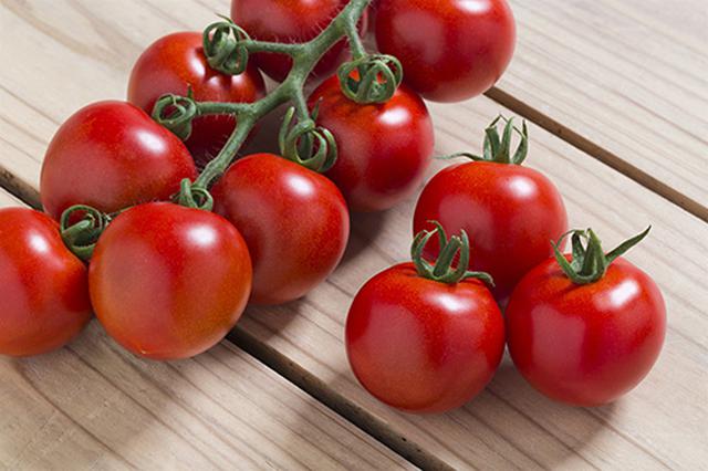 画像: 「フルティカ」はリコピン豊富な中玉トマトで、甘さもしっかりあります。果肉の歯ざわりがよく、皮が薄くて食べやすいのもいいところ