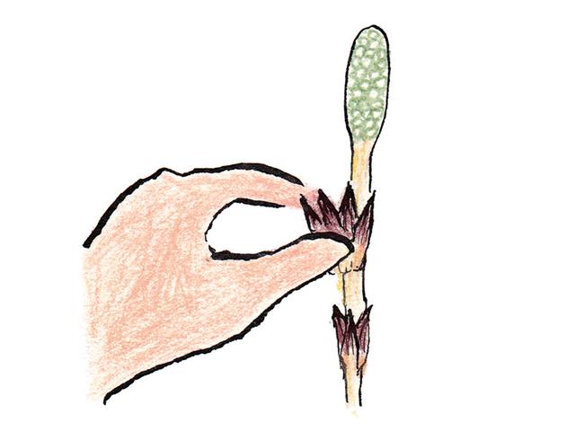 画像2: つくり方