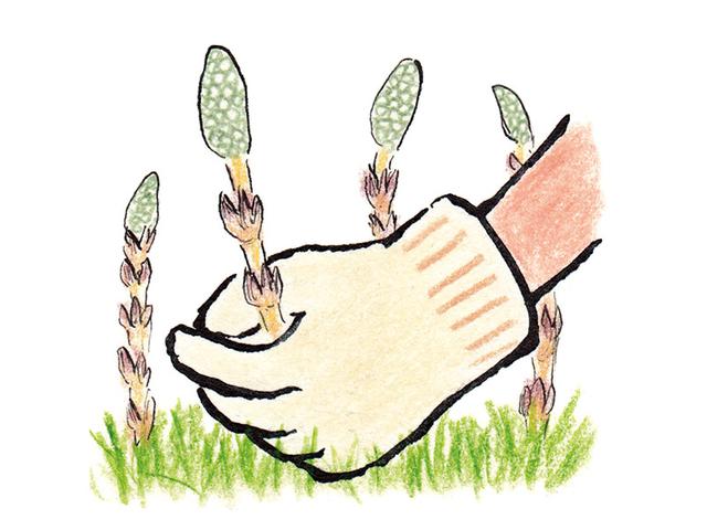 画像1: つくり方