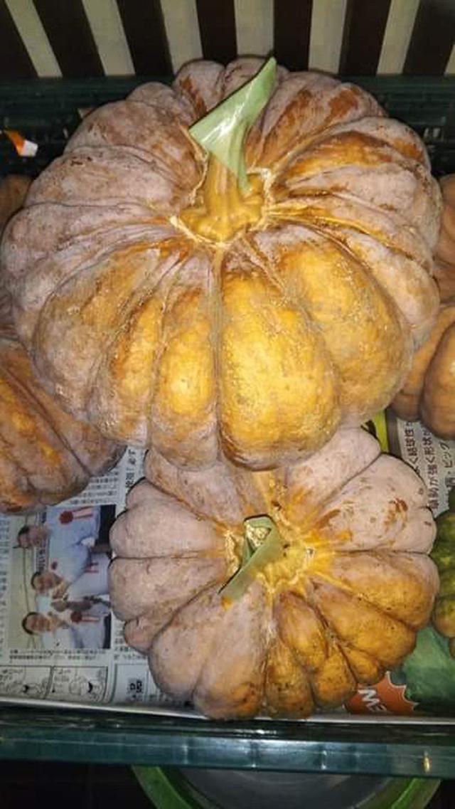 画像: 江戸東京野菜の内藤かぼちゃ。完熟すると、写真のように橙色になり表面に白い粉がふく