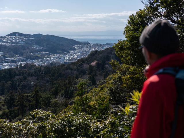 画像: 尾根に出たら海が見えました! ここは東京湾と相模湾の両方が見える場所