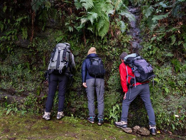 画像: 同じ壁を前にしても、人それぞれで見ているこけも見え方も違うからおもしろい