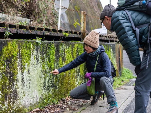 画像: 歩きだして間も無く、ハイキングコースの入口に着く前に遭遇した壁。もちろん素通りできません