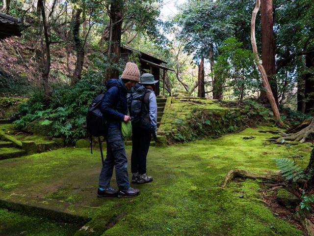 画像: こけに覆われた地面をそっと歩きます