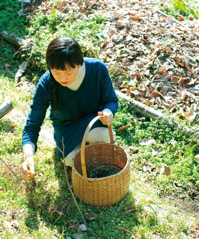 画像: 小さな野草でも、歩いている途中で素早く見つけては、摘んでいく