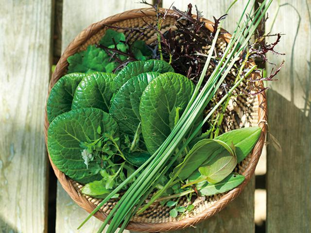画像: 畑の収穫と野草摘み