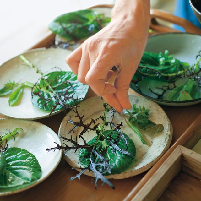 画像: 散歩の途中で摘んできた野草や畑の野菜を使って、サラダをつくってくれた。摘みたての葉は、新鮮で青々しい香りと味わい
