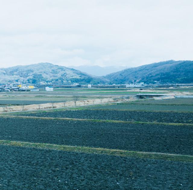 画像: アトリエの窓からは、自然豊かな伊賀の風景が眺められる。時間帯や季節によって移ろう様子を見つめることが、何よりの贅沢