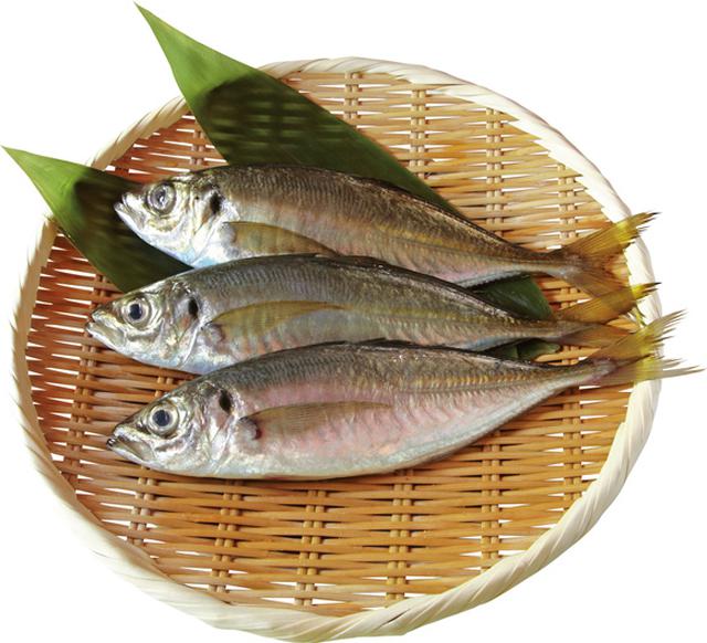 画像: あじ 旬 3~7月