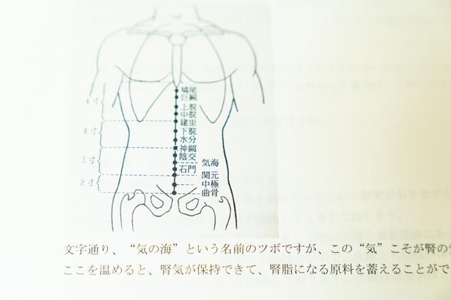 画像: 「お肌の健康には、下腹部がとても重要になります」(瀬戸先生)