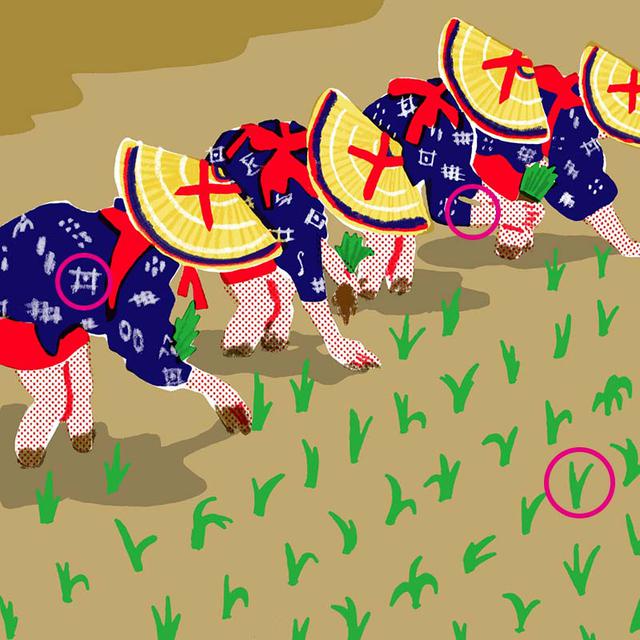 画像: 答え